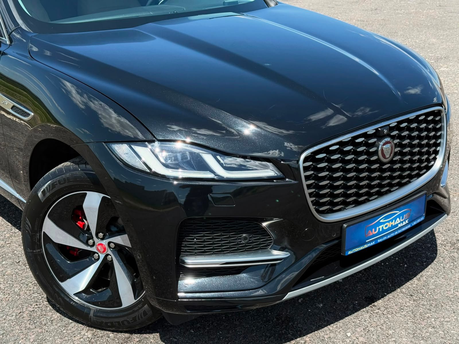 Jaguar F-PACE I (2015 - ) image