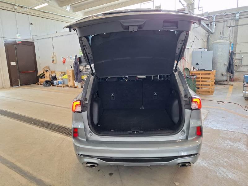 Ford Kuga III (2019 - ) image