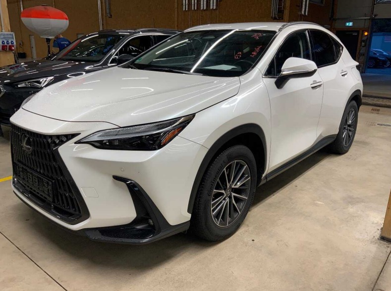 Lexus NX II (2021 - ) image