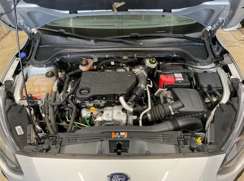 Ford Focus IV (2018 - ) image