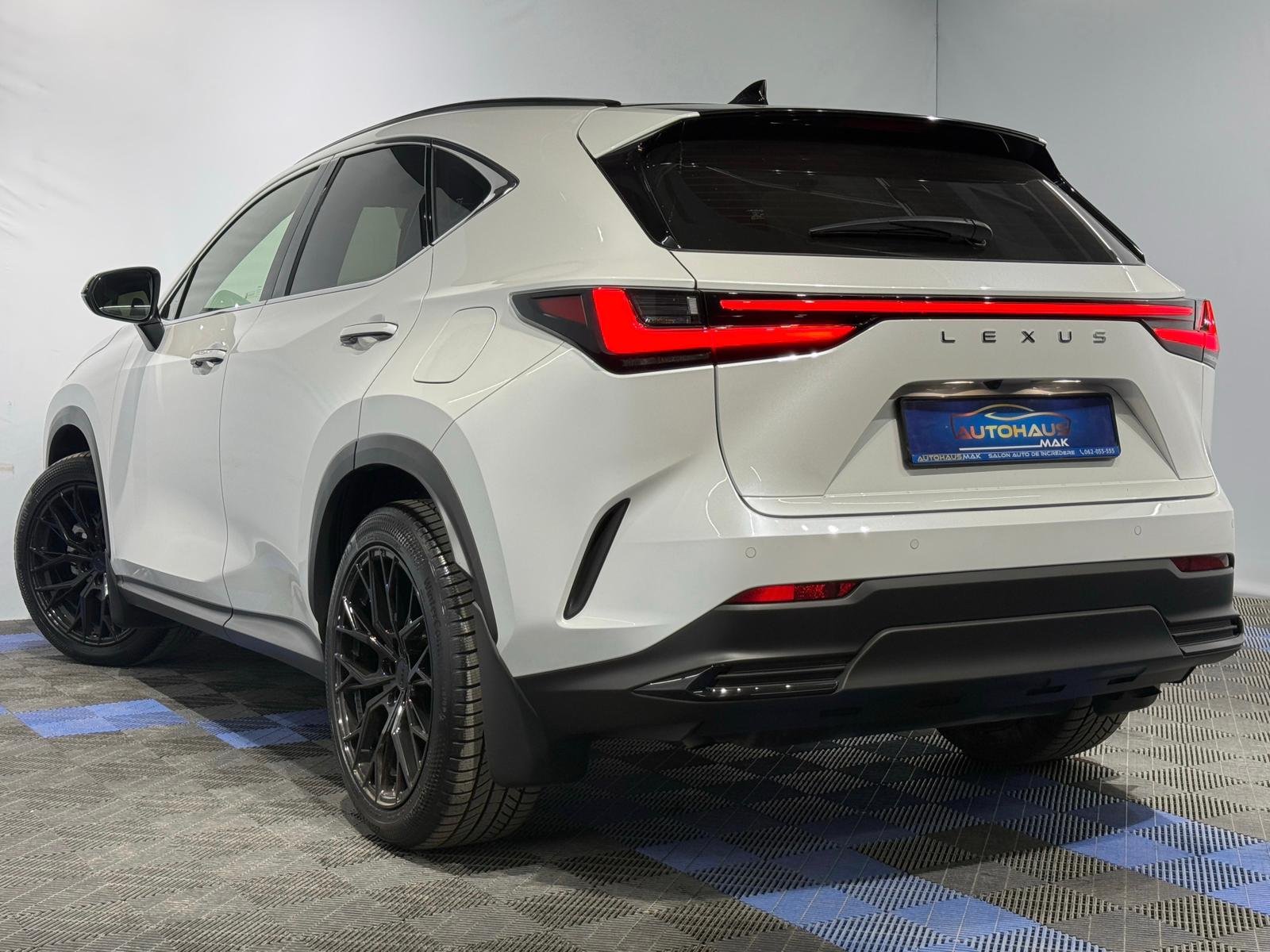 Lexus NX II (2021 - ) image