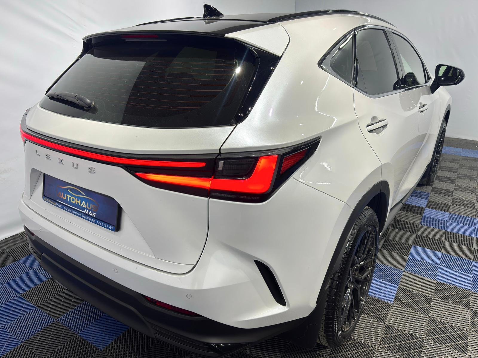 Lexus NX II (2021 - ) image