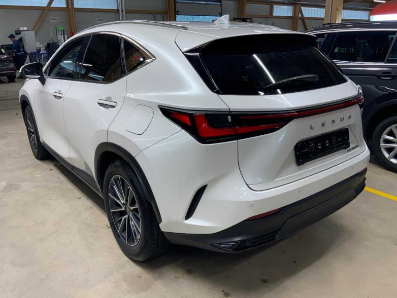 Lexus NX II (2021 - ) image