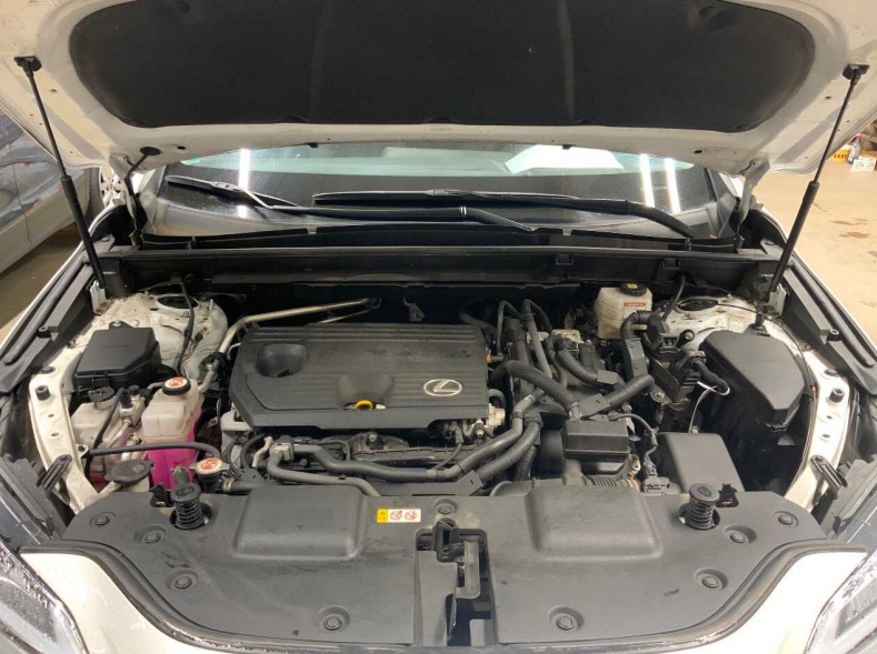 Lexus NX II (2021 - ) image