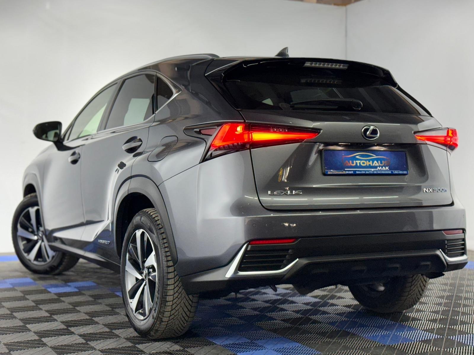 Lexus NX I (2014 - 2021) image