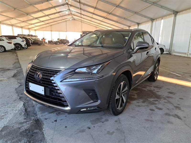 Lexus NX I (2014 - 2021) image