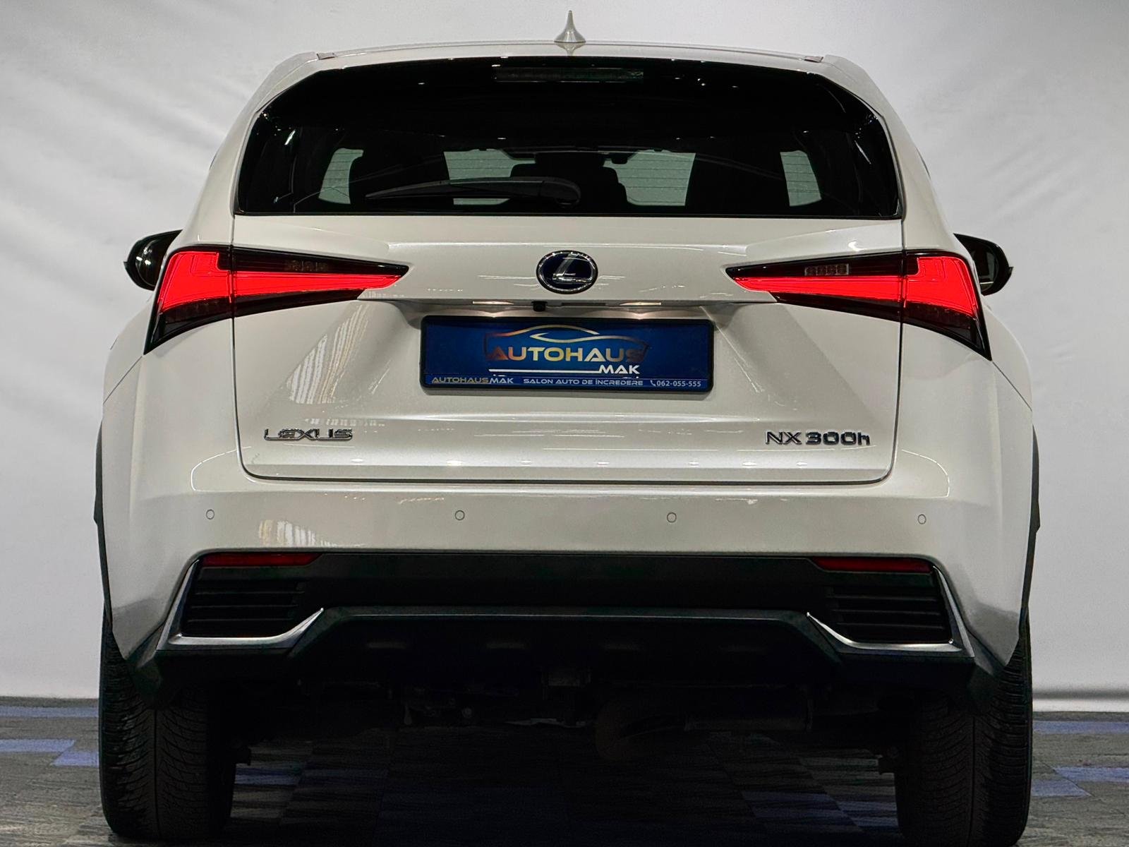 Lexus NX I (2014 - 2021) image Lexus NX I (2014 - 2021) image