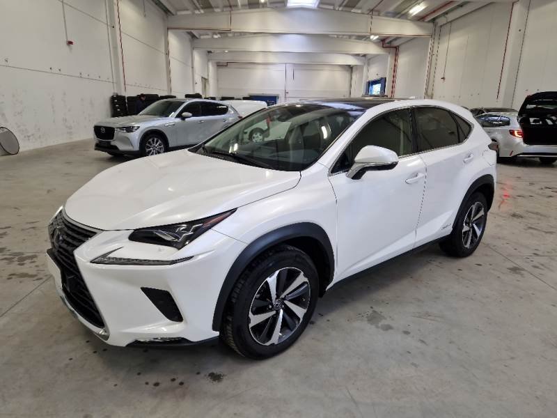 Lexus NX I (2014 - 2021) image