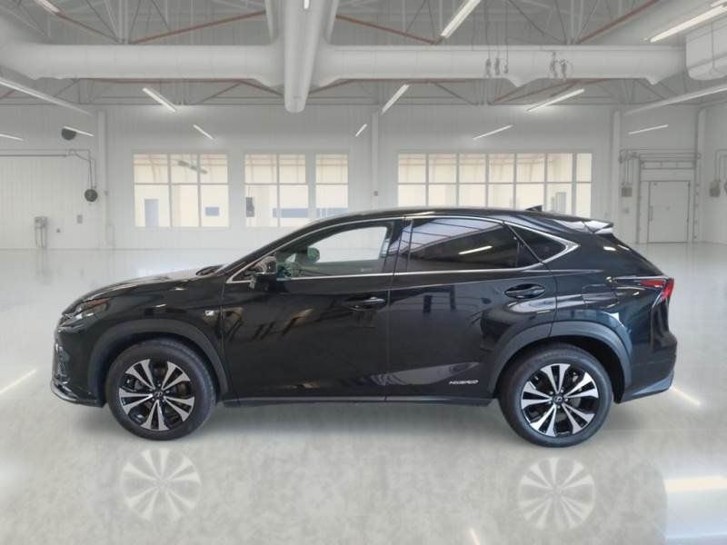 Lexus NX II (2021 - ) image