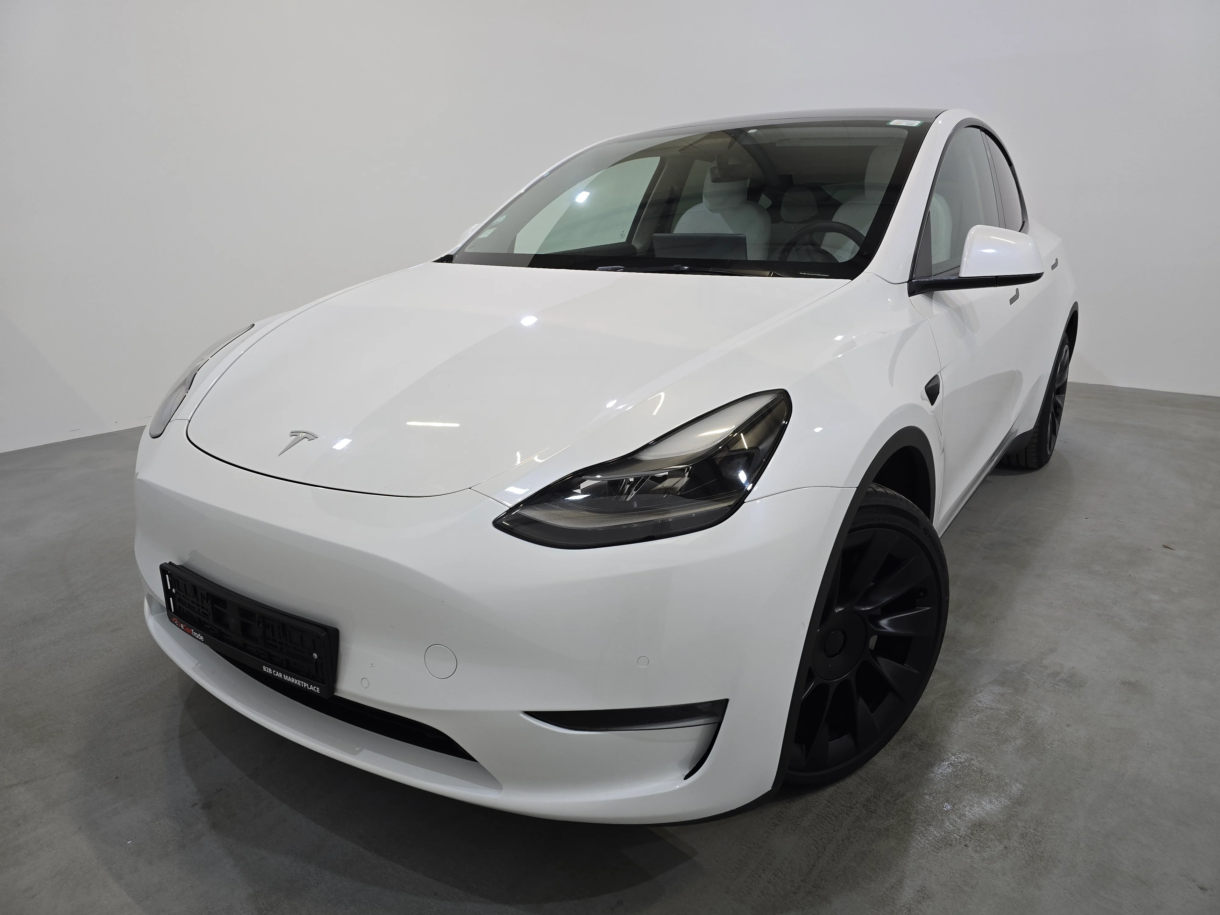 Tesla Model Y I (2020 - ) image