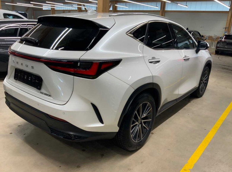 Lexus NX II (2021 - ) image